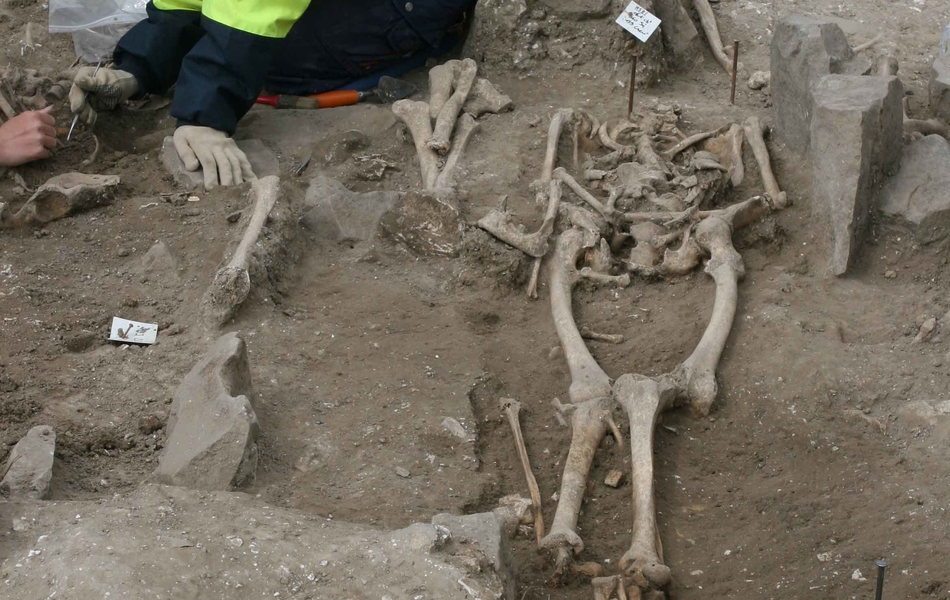 Des tombes d'anciens chanoines ou de villageois, ont été découvertes par les archéologues dans les ruines de l'abbatiale du 18ième siècle. Au premier plan, on y voit un squelette. Au second plan, une archéologue révèle du sol d'autres vestiges sur le site de Saint-éloi