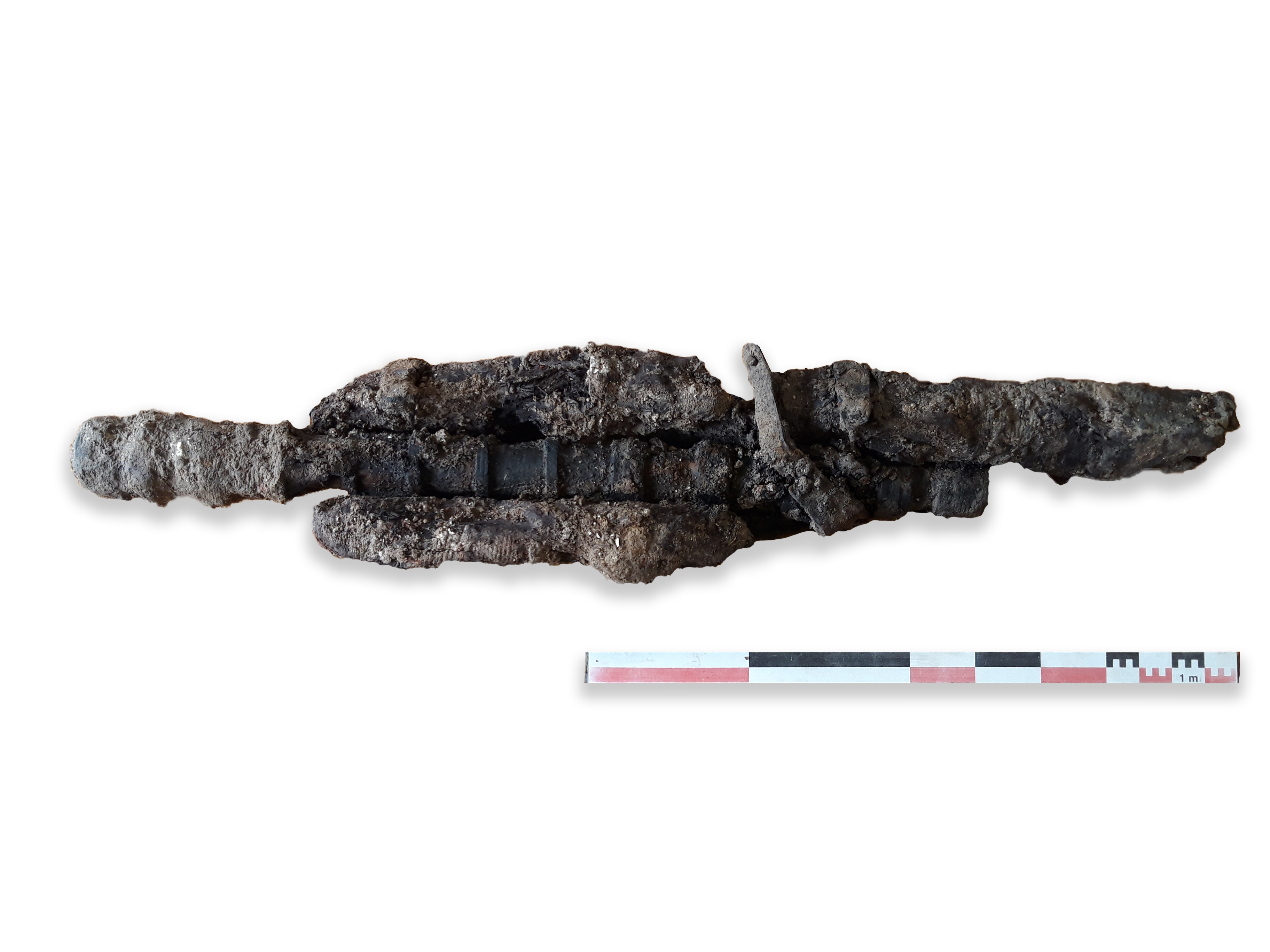 Couleuvrine dans son état découverte archéologique.