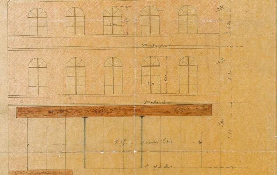 Plan en coupe couleur d'un bâtiment.