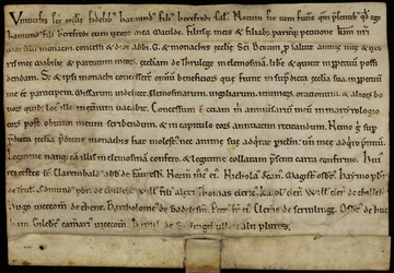 Photographie couleur montrant une charte sur parchemin. Texte en latin retranscrit ci-dessous.