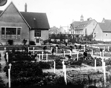 Photographie noir et blanc montrant des jardins ouvriers.
