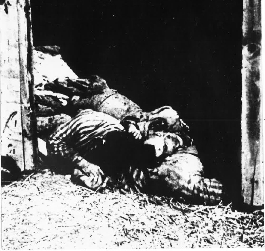 Photographie noir et blanc montrant des corps de victimes.