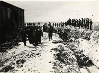 Photographie noir et blanc montrant des groupes hommes autour d'un long fossé.
