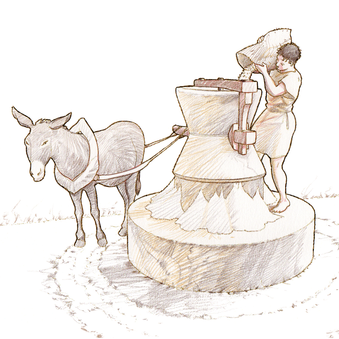 Illustration d'une meule de type Pompéi